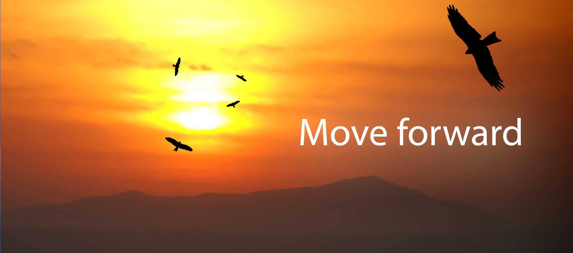Birds moving forward